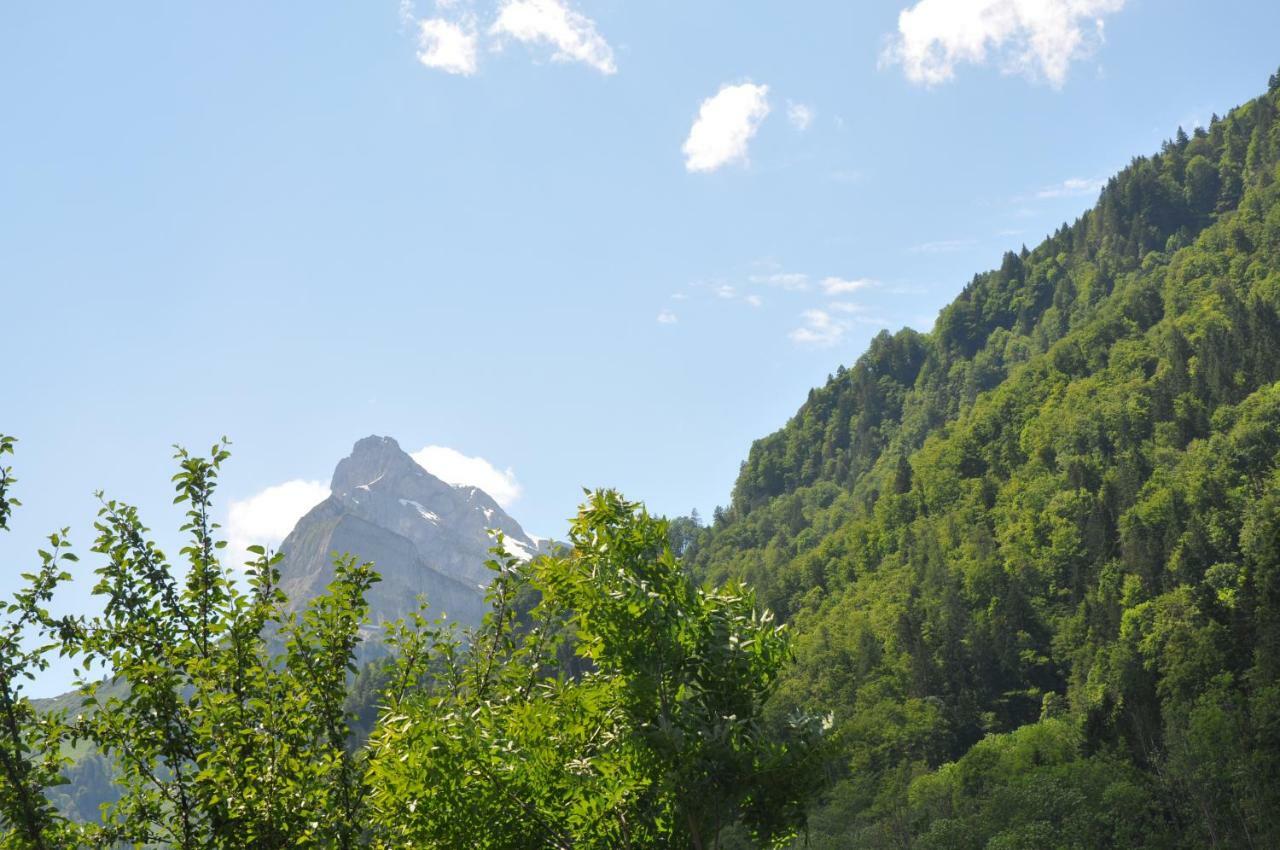 Ferienwohnungen Alter Raaben Ruti  Bagian luar foto
