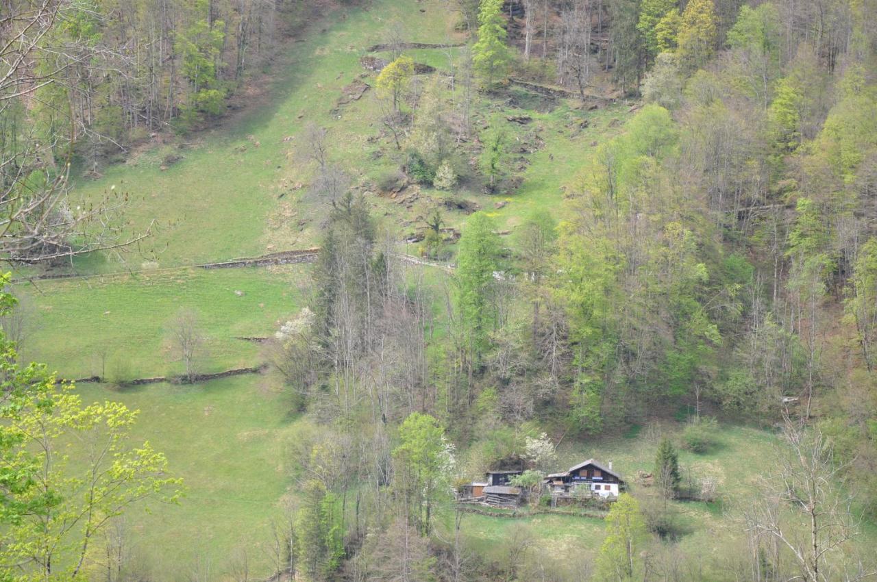 Ferienwohnungen Alter Raaben Ruti  Bagian luar foto