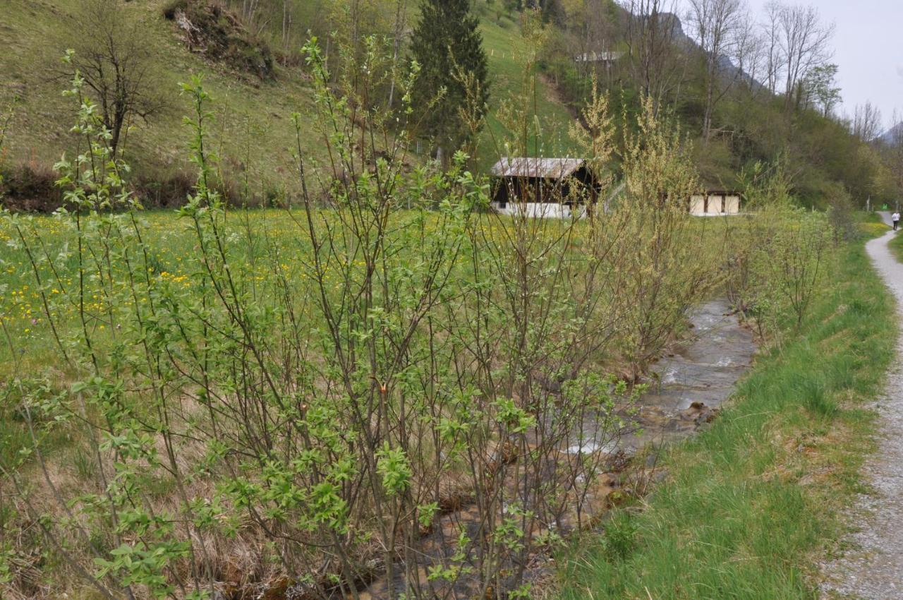 Ferienwohnungen Alter Raaben Ruti  Bagian luar foto